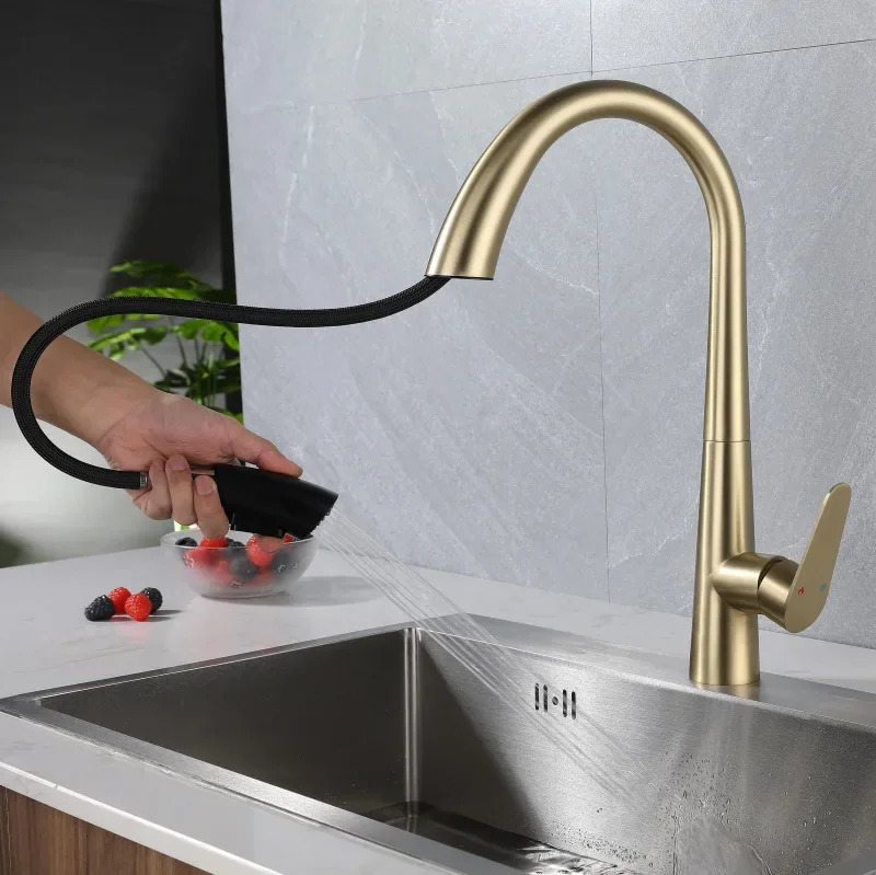 Torneira Monocomando Flexível Curva para Cozinha com Ducha Extensível